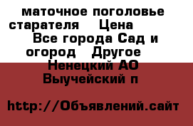 маточное поголовье старателя  › Цена ­ 3 700 - Все города Сад и огород » Другое   . Ненецкий АО,Выучейский п.